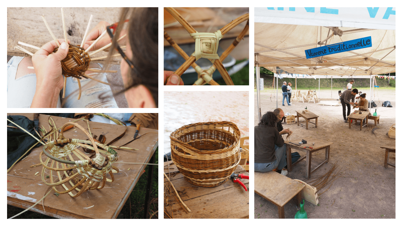 Photos Millepattes 2024