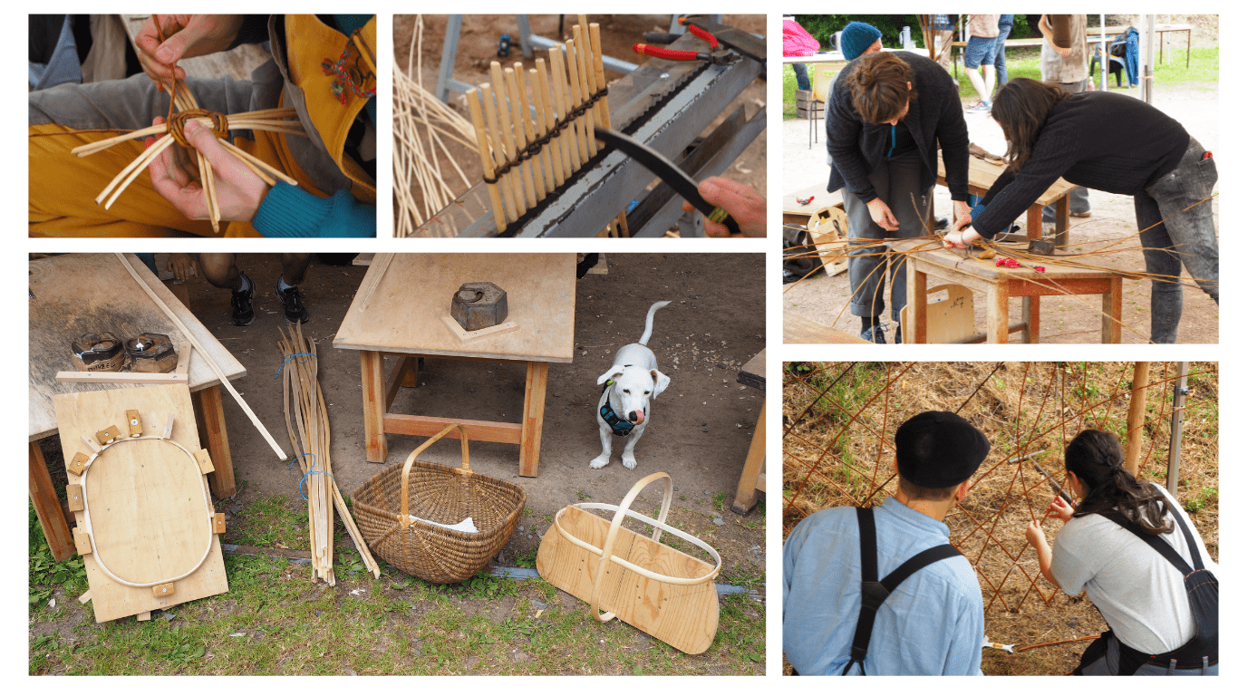 Photos Millepattes 2024