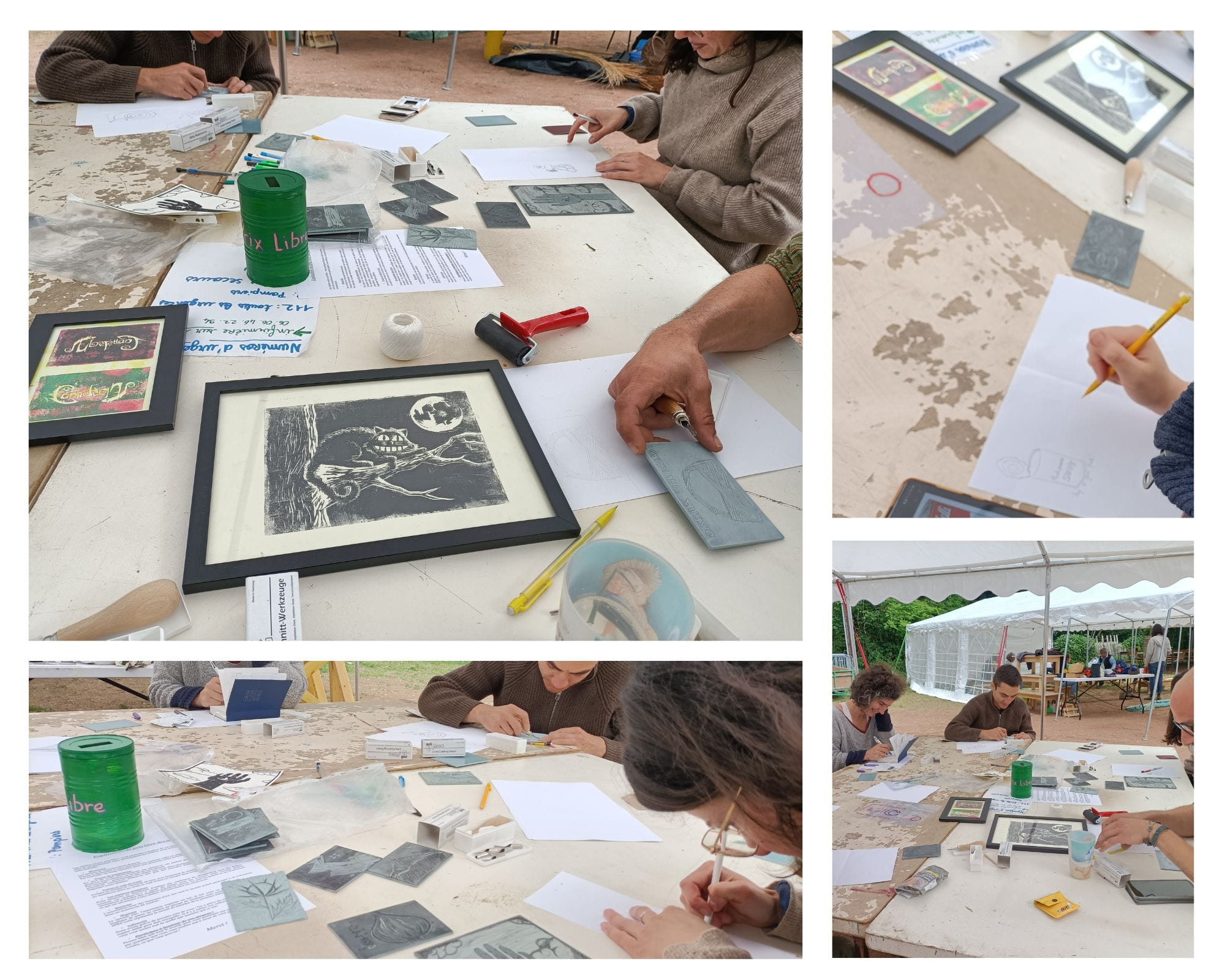 Photos Millepattes 2025