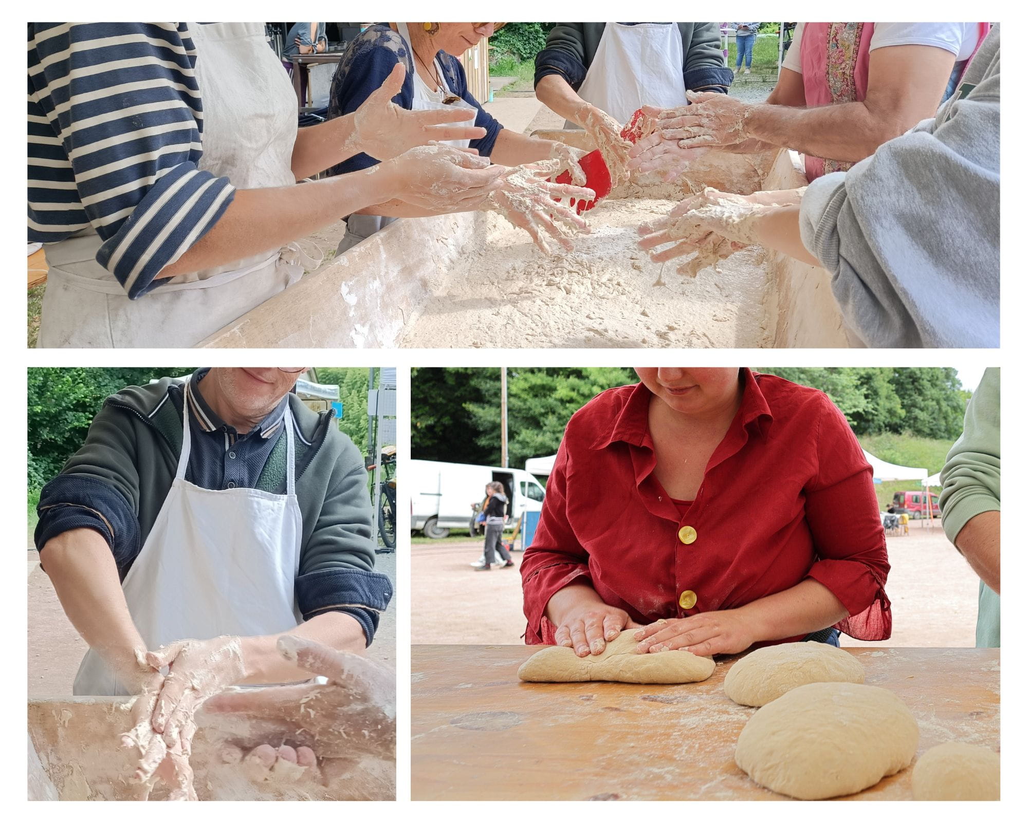 Photos Millepattes 2025