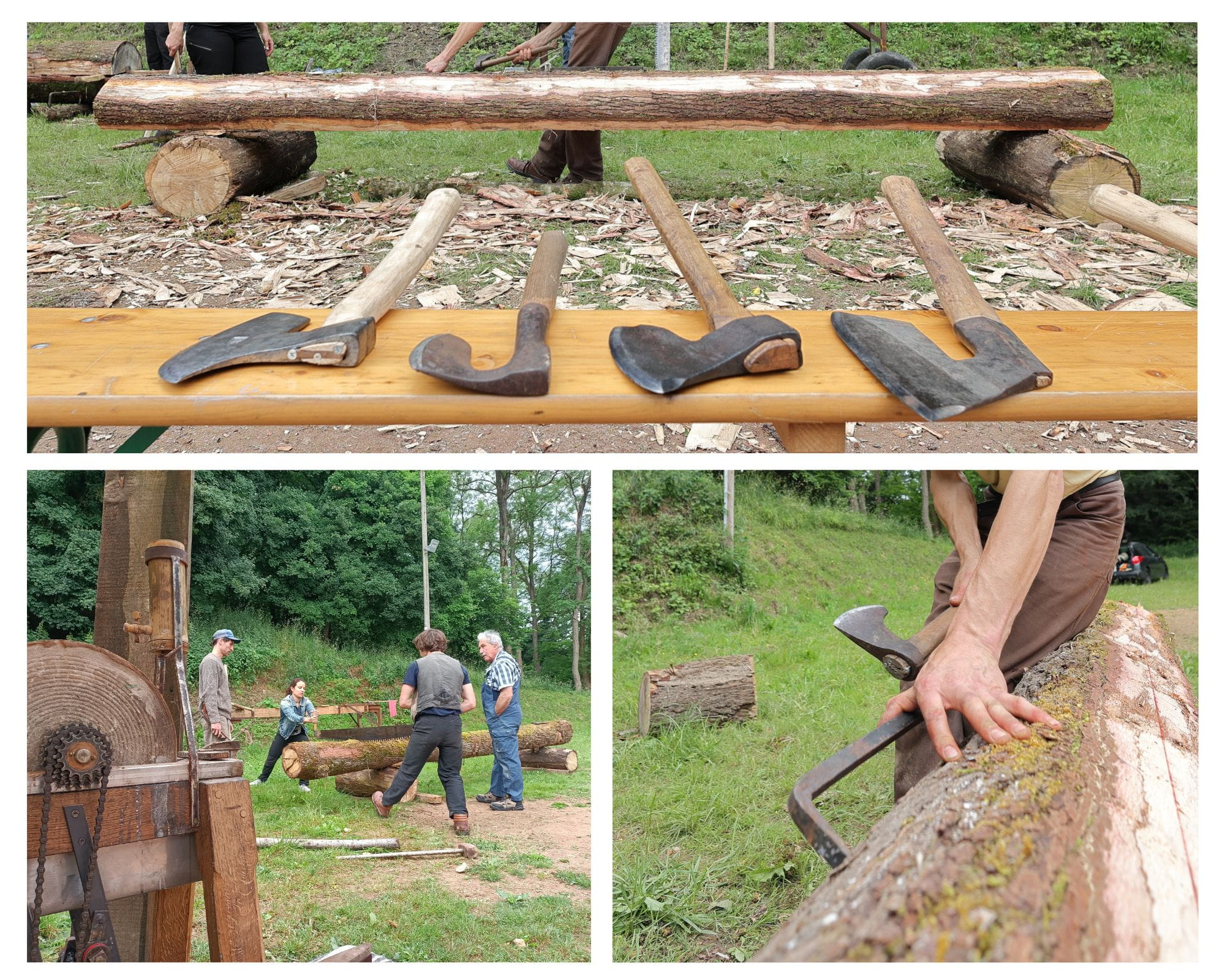 Photos Millepattes 2025