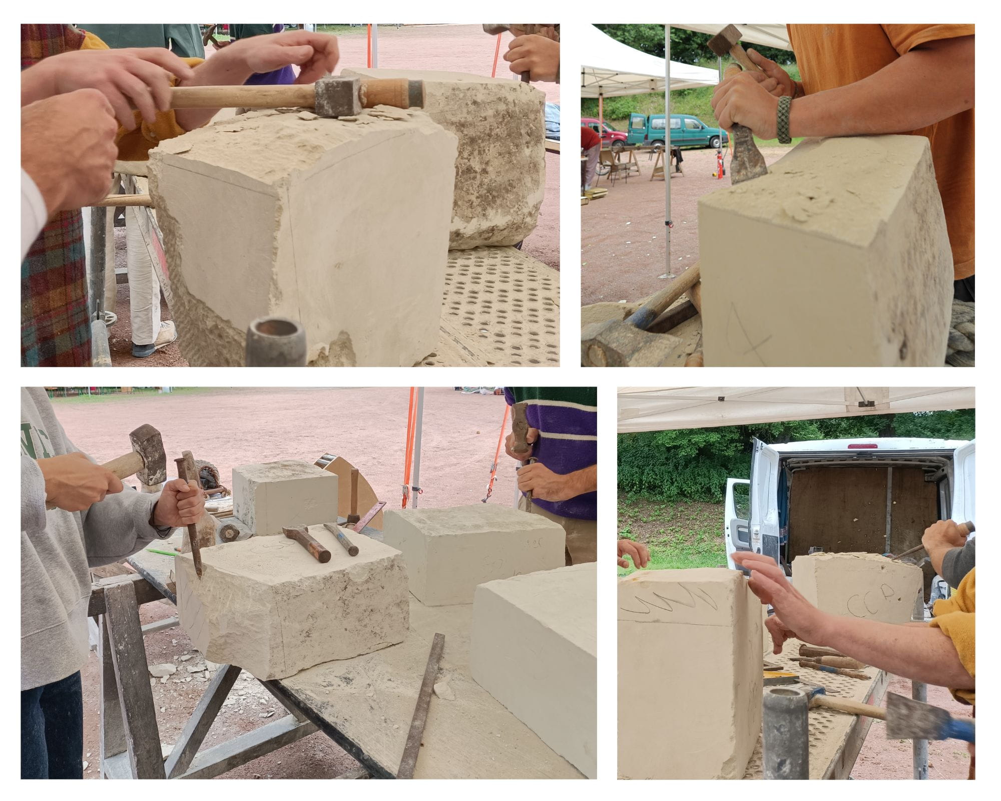 Photos Millepattes 2025