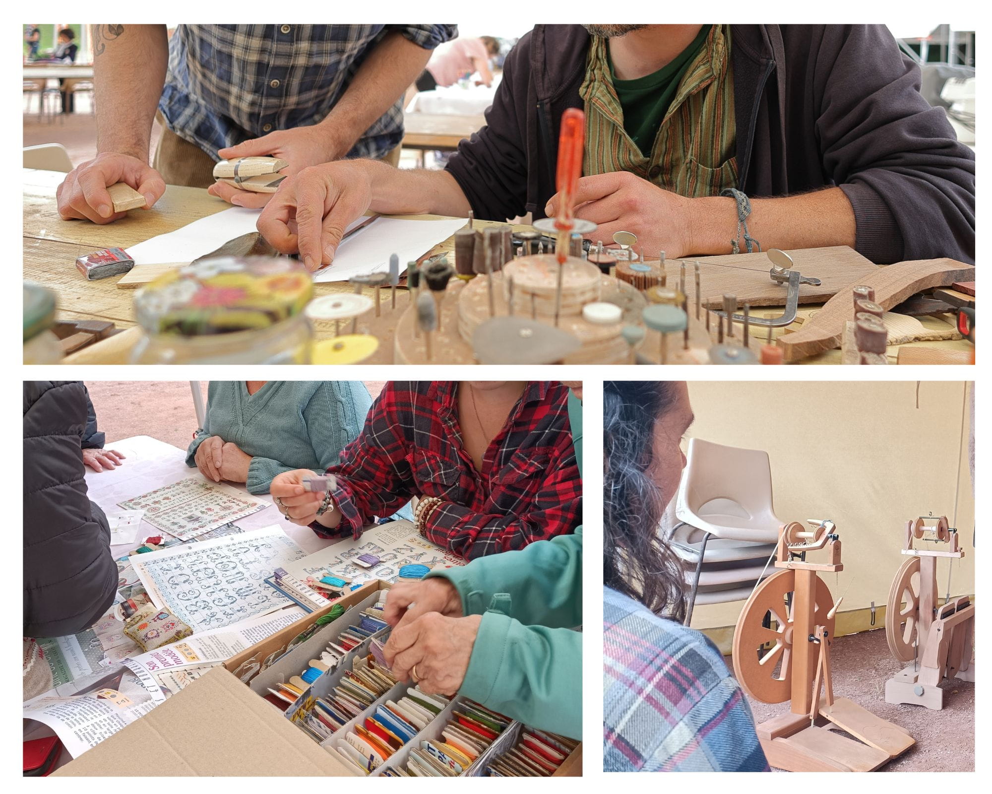 Photos Millepattes 2025