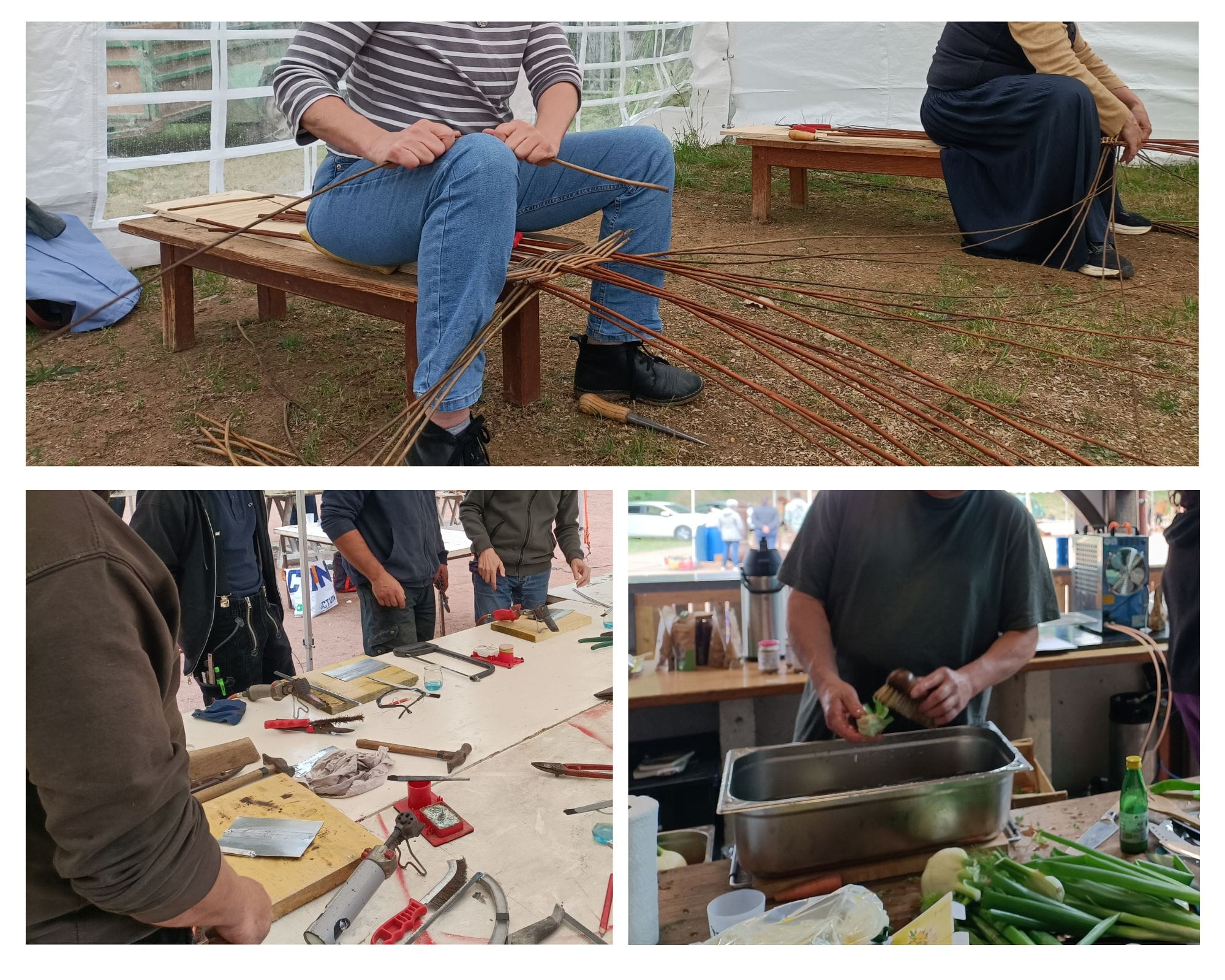 Photos Millepattes 2025